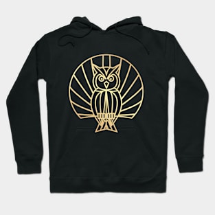 owl art Hoodie